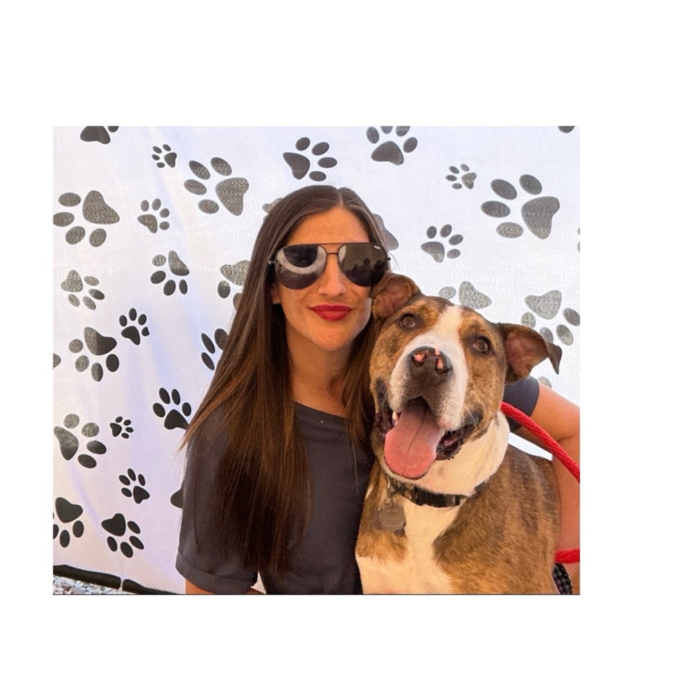 Meet your Posher, Gina Boscaino - Picture 6 of 16